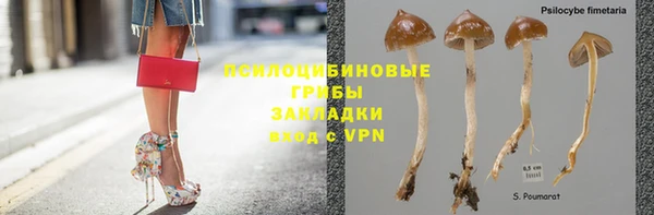 гашиш Абаза
